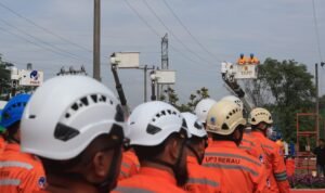 PLN