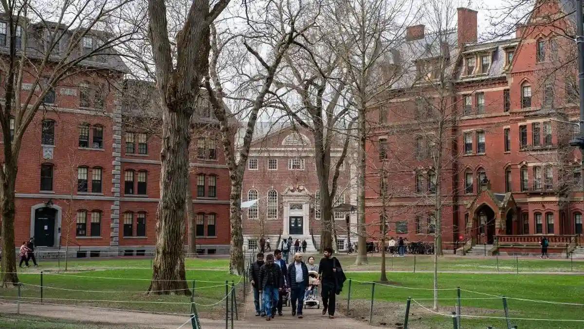 Rekomendasi Kampus Luar Negeri, Pilihan Favorit untuk Kuliah Global yang Makin Diminati