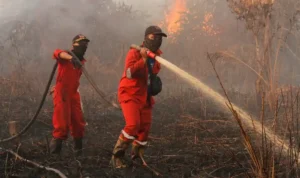 Penanganan Karhutla, Dari Deteksi Dini hingga Pemadaman Lahan Gambut