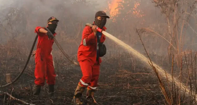 Penanganan Karhutla, Dari Deteksi Dini hingga Pemadaman Lahan Gambut
