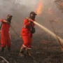 Penanganan Karhutla, Dari Deteksi Dini hingga Pemadaman Lahan Gambut