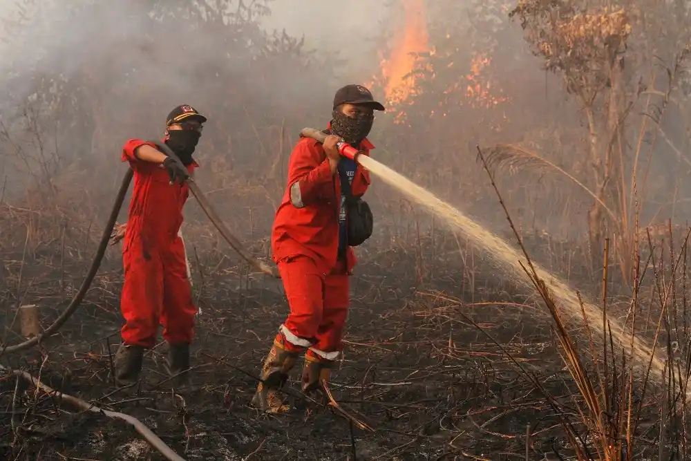 Penanganan Karhutla, Dari Deteksi Dini hingga Pemadaman Lahan Gambut